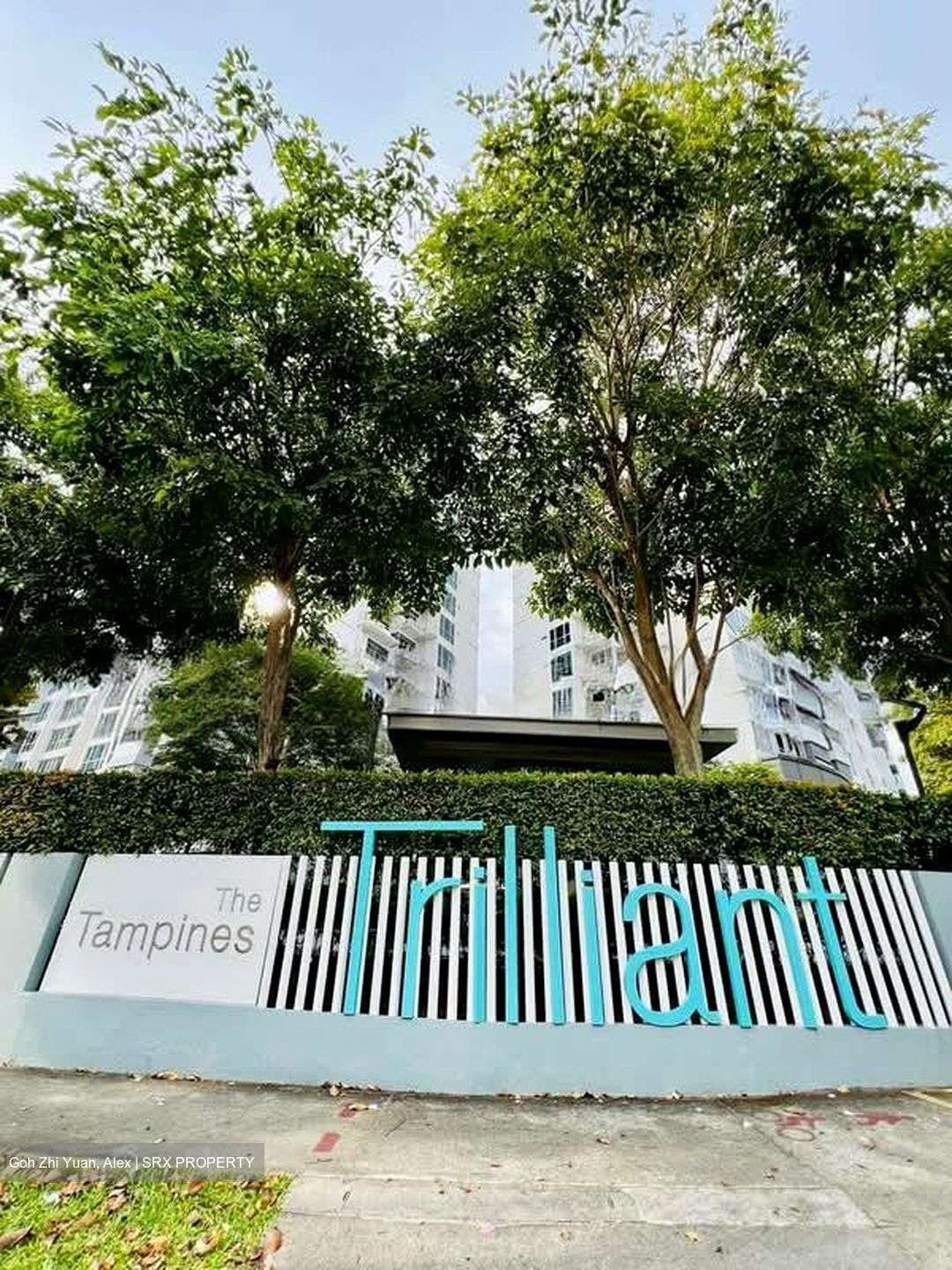 The Tampines Trilliant (D18), Condominium #603113191